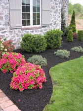 Logo for Prestige Lawn & Landscape