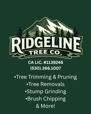 Avatar for Ridgeline Tree Co