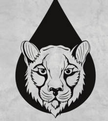MOUNTAIN LION PAINTING LLC logo