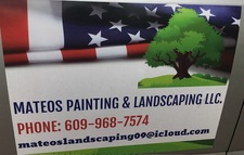 MATEOS PAINTING & LANDSCAPING LLC logo