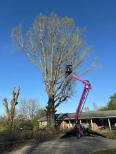 Avatar for Double JJ Tree Service