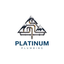 Avatar for Platinum Plumbing & Drain