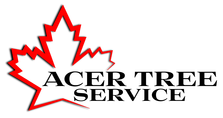 Avatar for Acer Tree Service