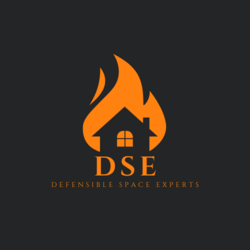 DSE DEFENSIBLE SPACE EXPERTS LLC logo