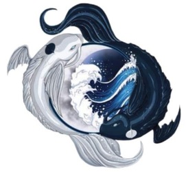 Water Tribe Pools logo