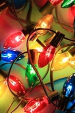 Avatar for Loveland Enterprises