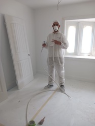 Alisan Painting LLC logo