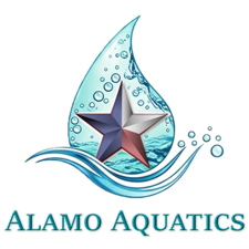 Avatar for LSPS