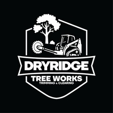 Avatar for DryRidge Tree Works