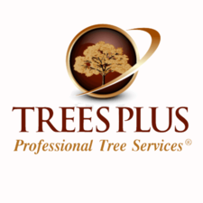 Trees Plus LTD logo