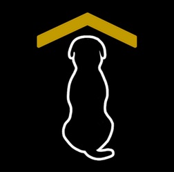 Black Dog Roofing logo