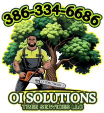 Avatar for OI SOLUTIONS TREE SERVICES LLC