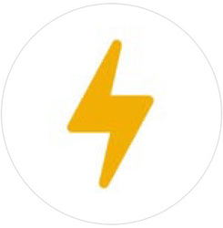 ChargerPro, LLC logo
