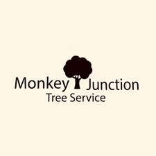 Avatar for Monkey Junction Tree Services
