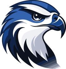 Avatar for Blue Falcons