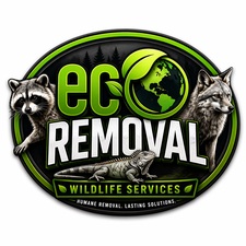 Avatar for Eco Removal Service