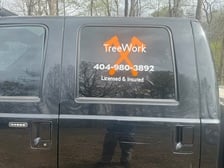 Avatar for TreeWork