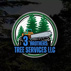3 Brothers Tree Service logo