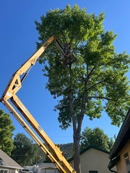 Clearview Tree Service LLC logo