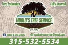 Logo for Muolo's Tree Service