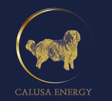 Logo for Calusa Energy, LLC