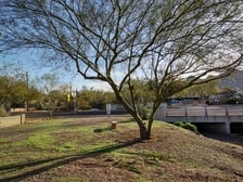 Logo for WoM Tree Care LLC