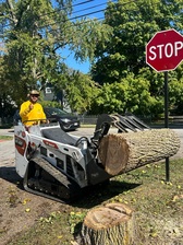 Avatar for Branching Out Tree Services