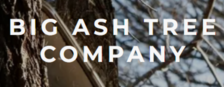 Avatar for Big Ash Tree Co