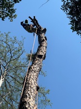 Logo for Geo’s junk removal