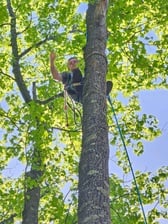 Avatar for Climbing to the Top Tree & Landscaping LLC.