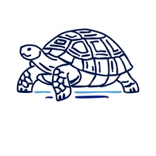 Avatar for Tortuga Pools Inc