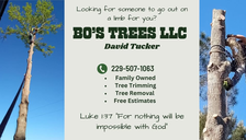 Logo for Bo's Trees LLC