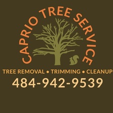 Logo for Caprio Tree Service