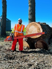 Logo for D's Trees & Property Services, LLC