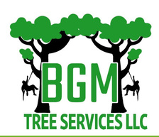 Avatar for BGM Tree Services