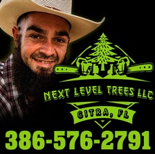Avatar for Next Level Trees LLC