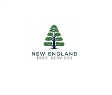 Logo for New England Tree Services