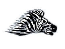 Logo for Xebra