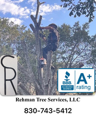 Logo for Rehman Tree Services LLC