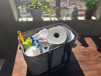 Sunshine Cleaning & Home Services logo
