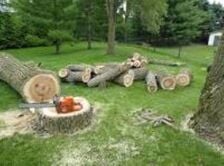 Avatar for Blessed Services, LLC