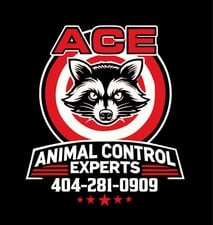 Avatar for ACE Wildlife Service