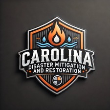 Logo for Retro Restoration