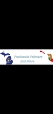 Peninsula Painters And More LLC logo