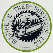 Avatar for Maciel E Tree Services LLC