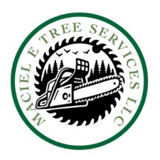 Logo for Maciel E Tree Services LLC