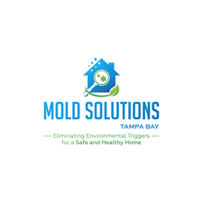 Avatar for Mold Solutions Tampa Bay