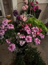 Avatar for Sand Dogs Landscaping, LLC