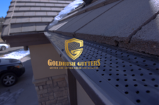Avatar for Gold Rush Gutters