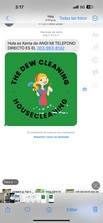 The dew cleaning logo